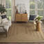 Tapis intérieur / extérieur Braddock-1898117029