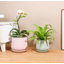 Petit pot en terre cuite roulé à la main avec soucoupe intégrée - Intérieur-1299429193-1299429192