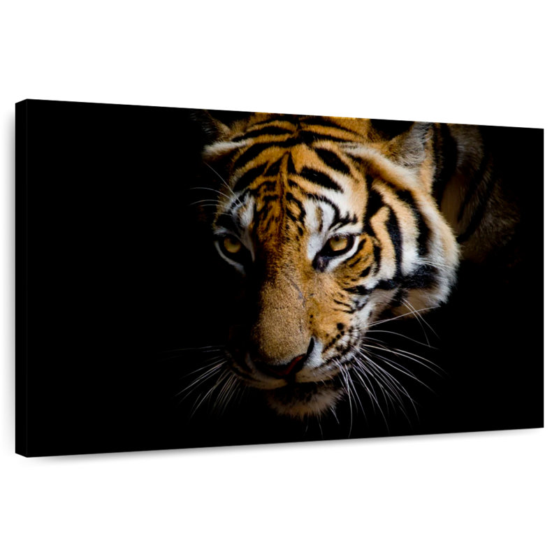 Brampt Sumatran Tiger, 34" H x 51" W