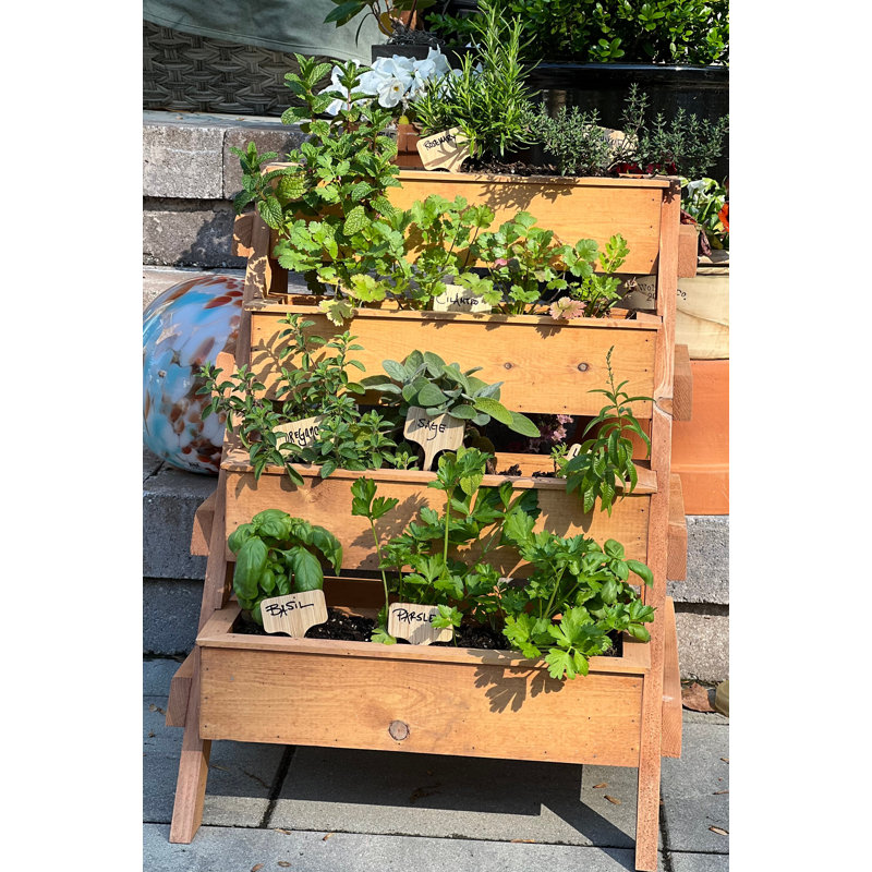 Jardin vertical en bois Rosie