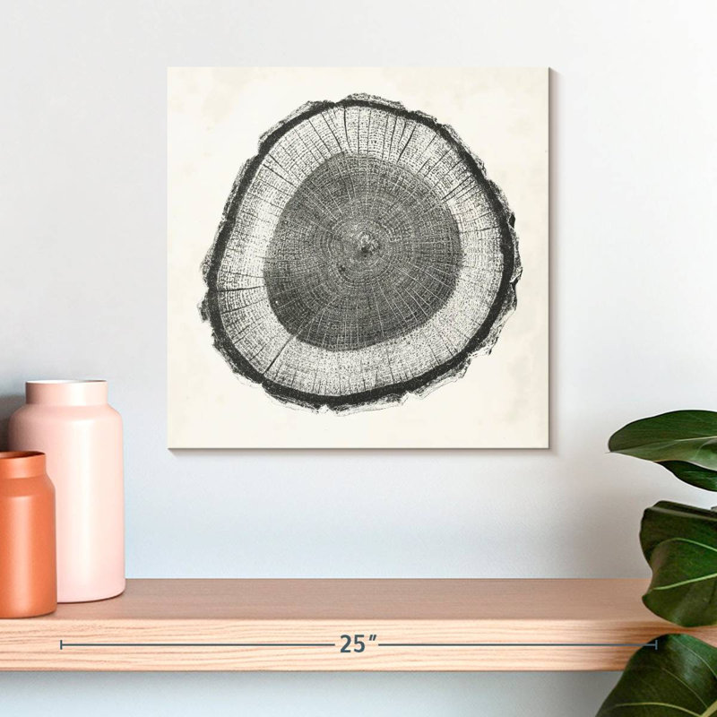 Avery Tree Ring II, 16" H x 16" W