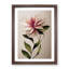The Appealing Flower - Single Picture Frame Print-1299624985-1299624965