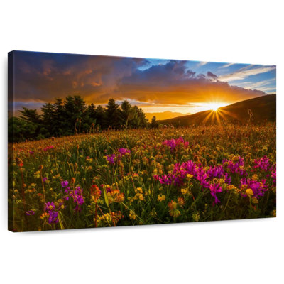 Alvord, champ de fleurs, crépuscule