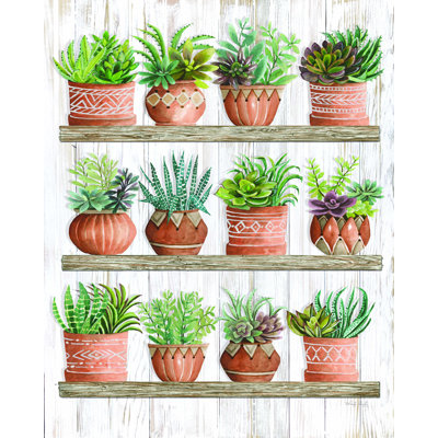 " Succulents On Shelves "
