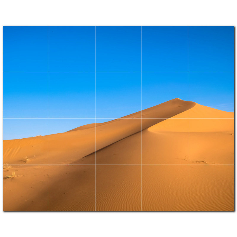 Murale décorative en céramique satinée 8 po x 8 po Desert Photo