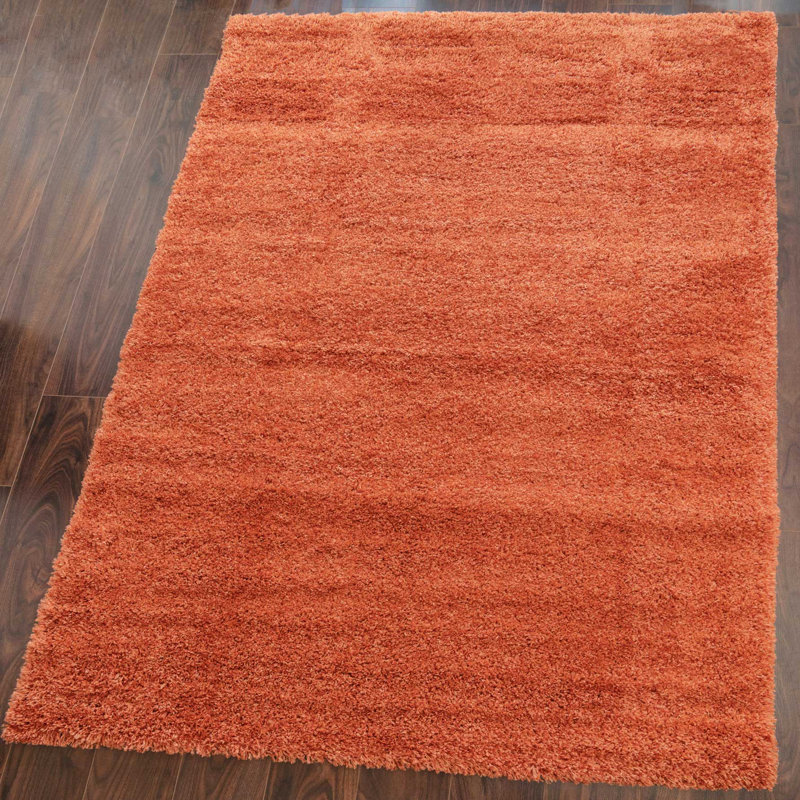 Anastyn Solid Colour Shag Area Rug, Rectangle 160 x 230cm