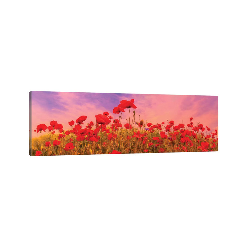 Idyllic Field Of Poppies At Sunset by Melanie Viola - Wrapped Canvas Panoramic Gallery-Wrapped Canvas Giclée