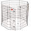 Stylos d'exercice Lucky Dog-11941707