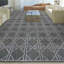 Tapis gris de haute qualité noué à la main