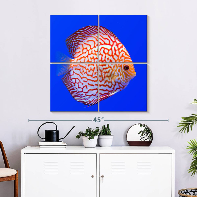 Brampt Exotic Discus Fish, 32" H x 32" W