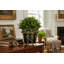 Midnight Blossom Oval Planter with Ormolu