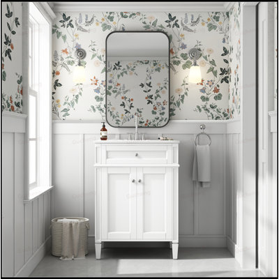 24"Soft Closing Doors Bathroom Vanity