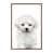 Toile avec cadre brun n'est pas disponible