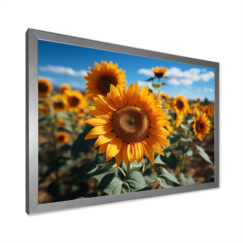Tournesols jaune champ vibrant II, Cadre photo argenté, H 16 po x l 32 po x P 1 po