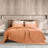 Wonderful Velvet 3-piece reversible quilt set-1696454814-1702797691
