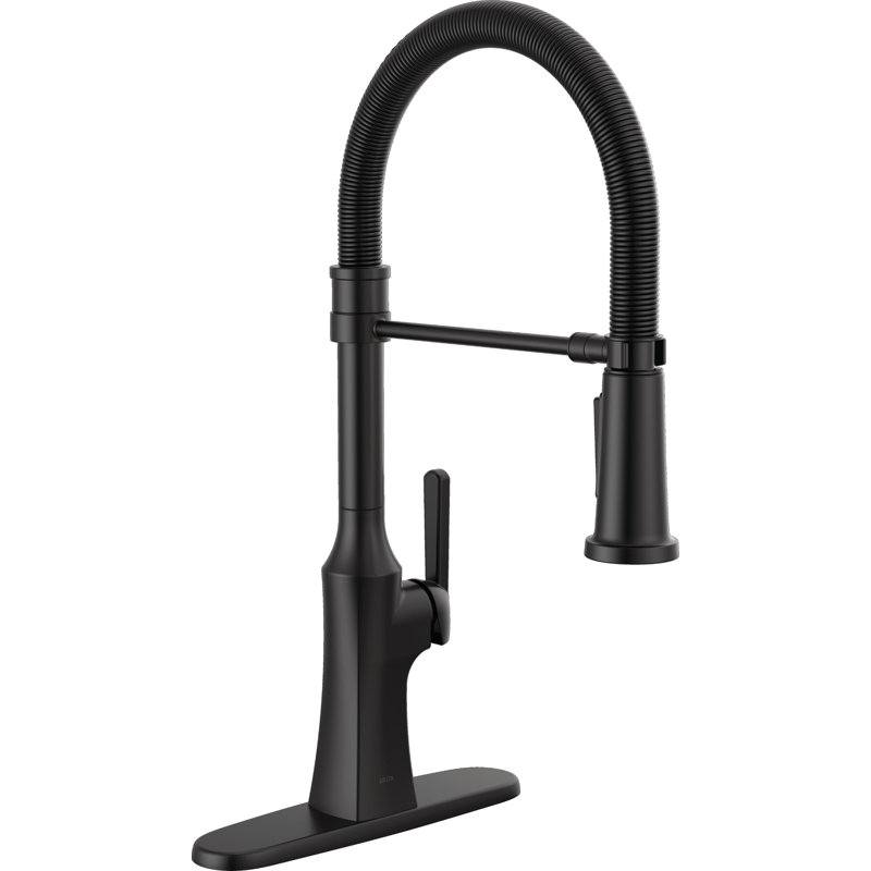 Robinet de cuisine Ermelo Pro Style, Noir mat