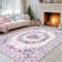 Washable Area Rug Pink Butterfly Soft Accent Carpet Vintage Inspired Distressed Low Pile for Living Room Dining Room Bedroom Den