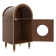 Cat Litter Box Enclosure