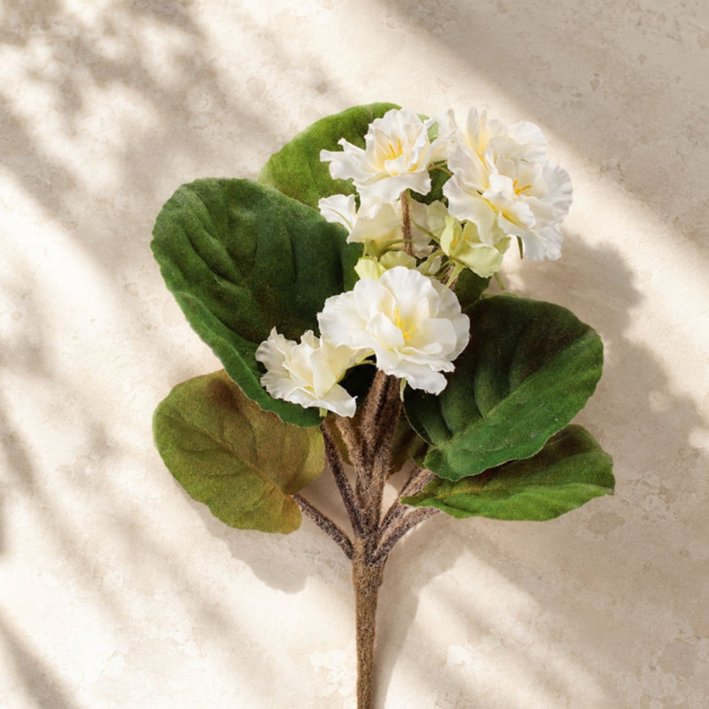 Bouquet de fleurs d'Afrique (ensemble de 4), Blanc, vert