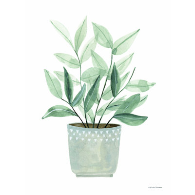 " Sage Planter "