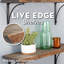 Arzona Pine Solid Wood Shelf