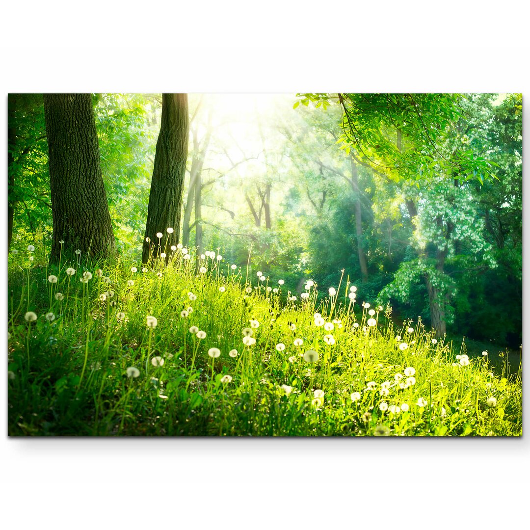 Leinwandbild Pusteblumen im Wald