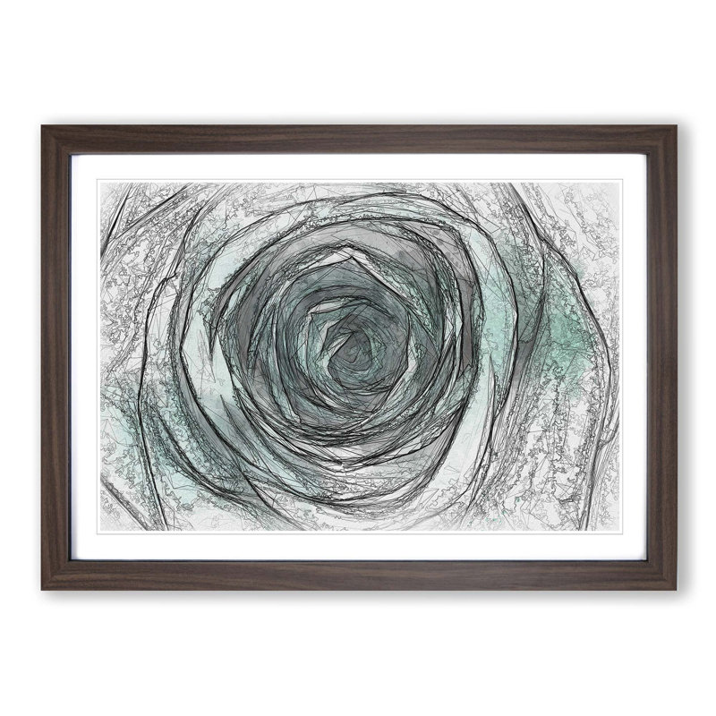 Mint Green Rose - Picture Frame Graphic Art Print, 27cm H x 36cm W x 2cm D, Walnut Framed