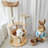 4 Tiers Cat Tree with Condons,Perch,Scratching Posts