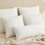 Insert de coussin décoratif décoratif en duvet de plumes avec housse en coton (ensemble de 2)-102250140-132521331