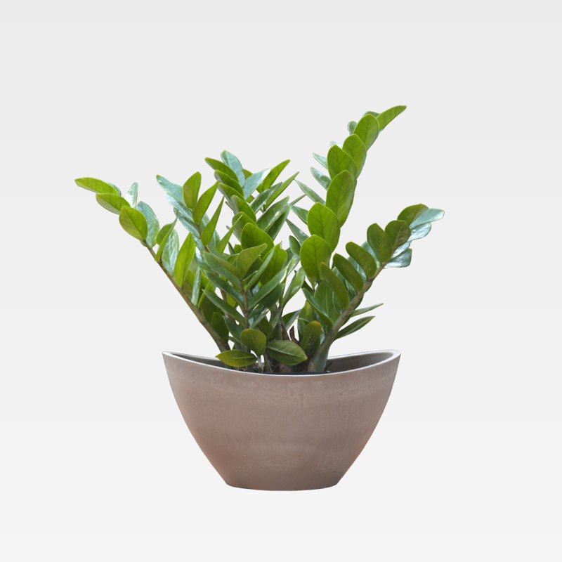 Pot Planter