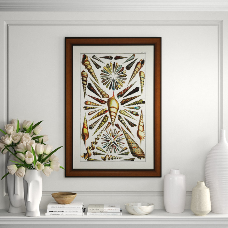 Shell Arrangement Print