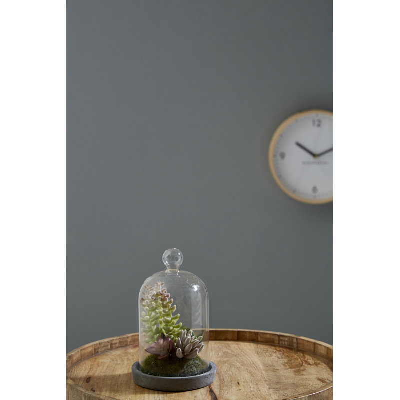Sydnee 18cm Succulent in Cement Terrarium