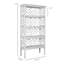 Chippendale Bookcase-17297240