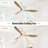 60 Inch Indoor Modern Ceiling Fan With 3 Color Dimmable 6 Speed Remote Control 3 Solid Wood Blade For Living Room