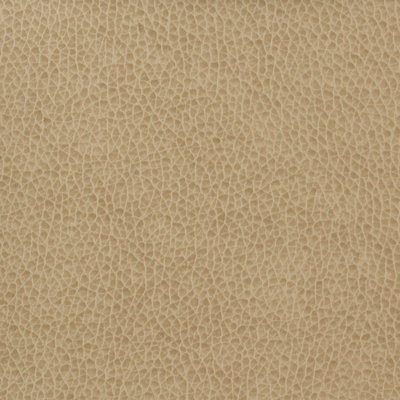 Matter Fabric