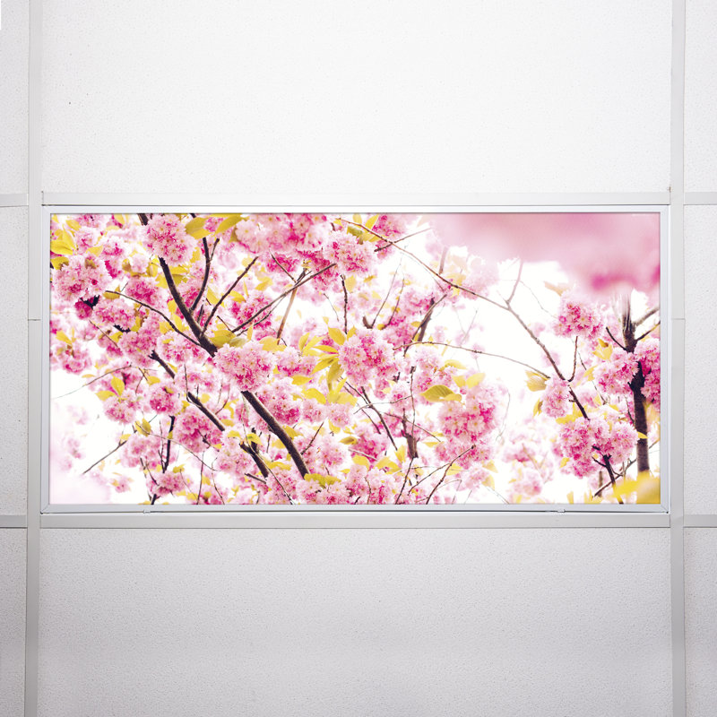 Couvre-lampes fluorescents pour salle de classe Flower - pour luminaire 2 x 4 - par Octo Lights