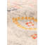 Tapis carré carré 6 pi x 6 pi Rundall