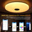 1-Light Flush Mount