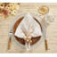 Spoke Placemat-48543844
