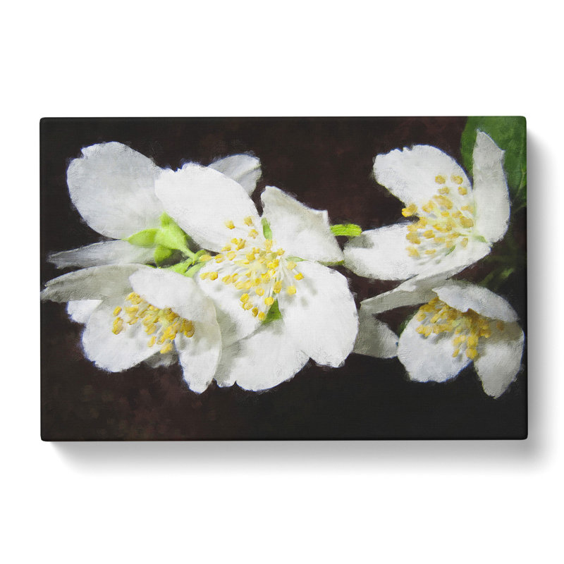 White Jasmine Flowers - Wrapped Canvas Painting, 60cm H x 91cm W x 3cm D