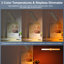 Lampe de bureau Destefana