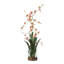 Orchidée dansante dans un vase en verre