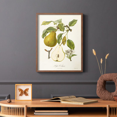 Vintage Pears II Framed Print - Solid Wood