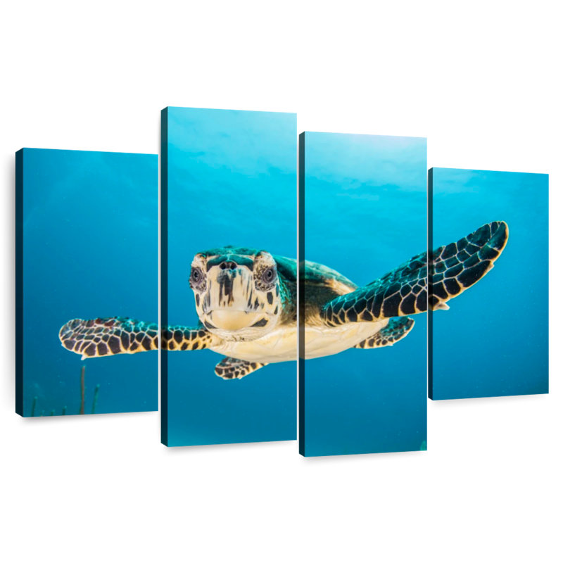 Brampt Underwater Baby Turtle, 32" H x 52" W
