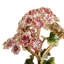 Thea Geranium Flower Objet