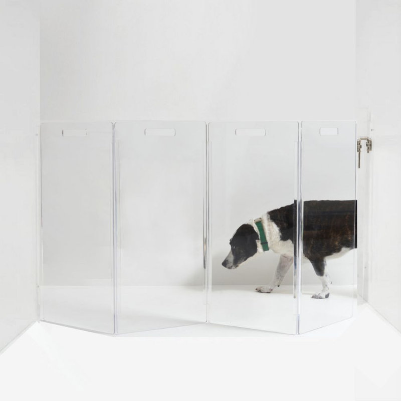 Clear Acrylic Zig Zag Wall Mounted Pet Gate with Metal Latch