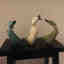 Photos des clients 1 de 1