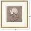 «Pretty as a Peony II», art encadré
