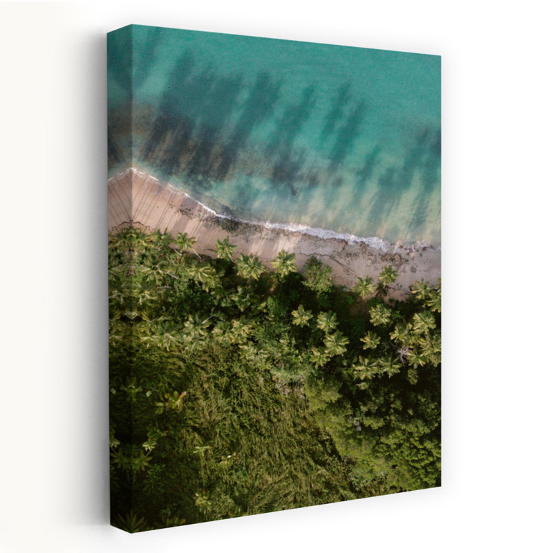 Zwart - Palm Beach From Above Beach, palmier, nature, bleu, coquillages côtiers, corail, H 36 po x l 24 po