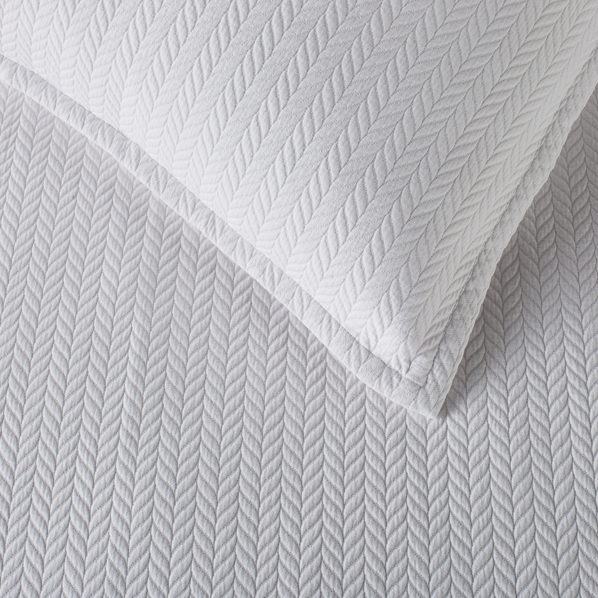 Verbeia 100% Cotton Ties Sham, Standard